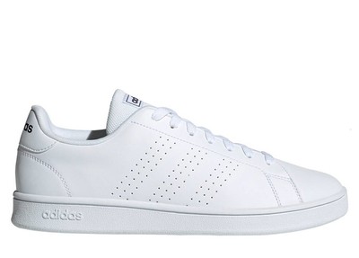 adidas advantage blanche